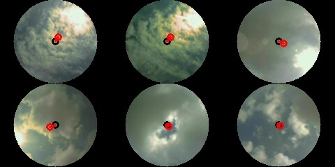 
      Screenshots from the robot's camera looking up at the South African sky.
    